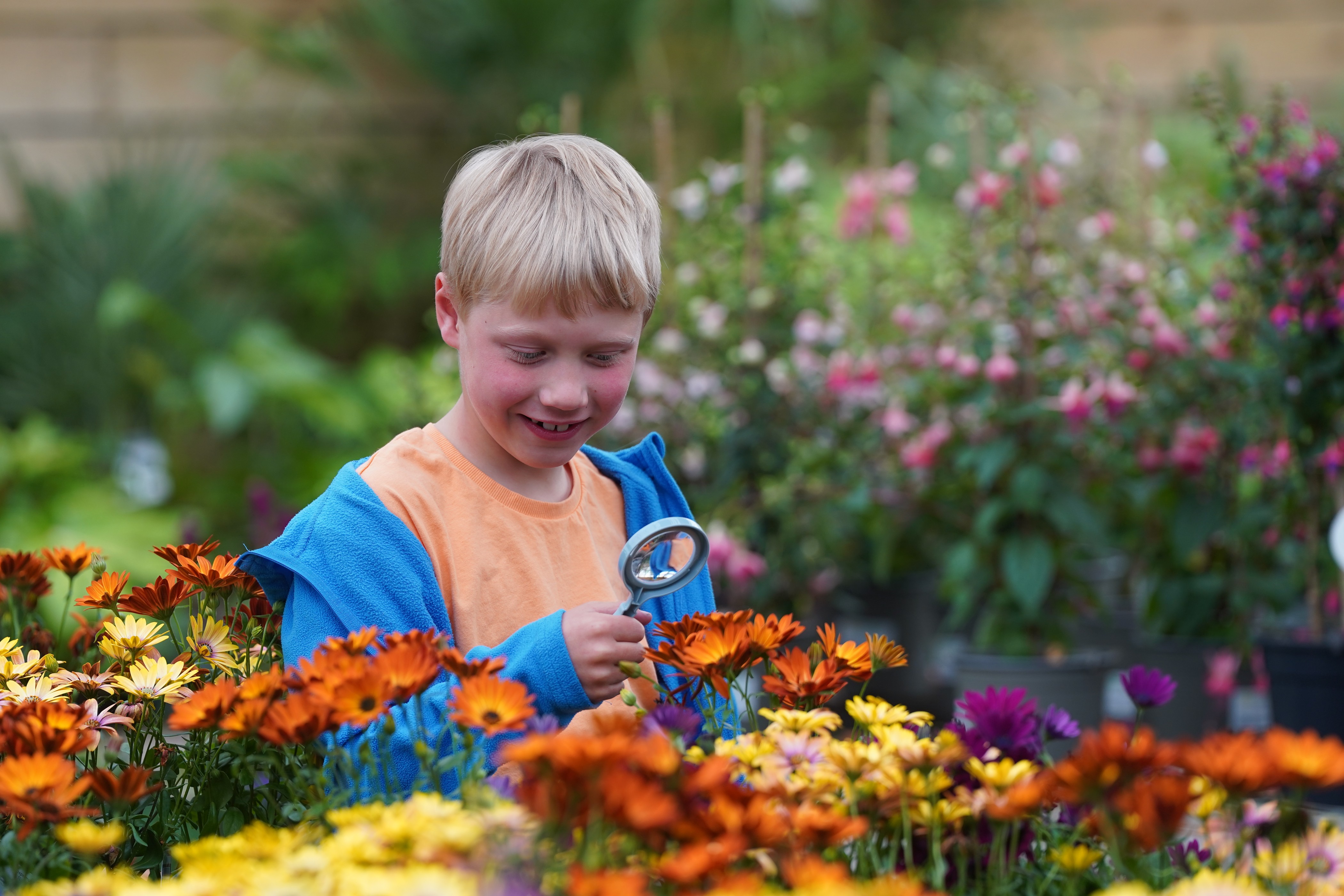Explore the busy world of pollinators with Dobbies’ Braehead free Little Seedlings Club